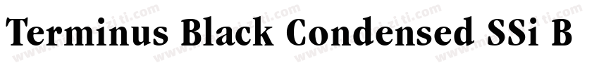 Terminus Black Condensed SSi Bold Condensed字体转换